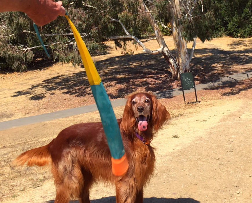 A reddish-brown dog with a ball in its mouth stands on a dirt path, looking up at a person holding the Foxtail Fetch (Dog Toy) launcher, with trees and dry grass visible in the background.